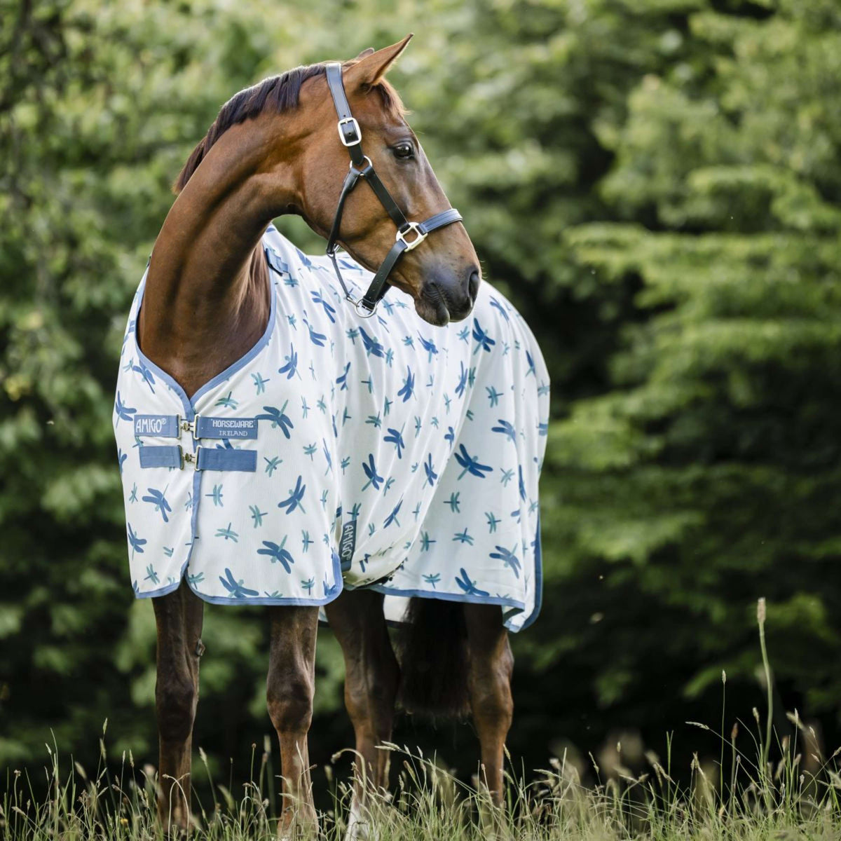 Amigo Bug Rug Dragonfly Print/Silver/Blue/Sage