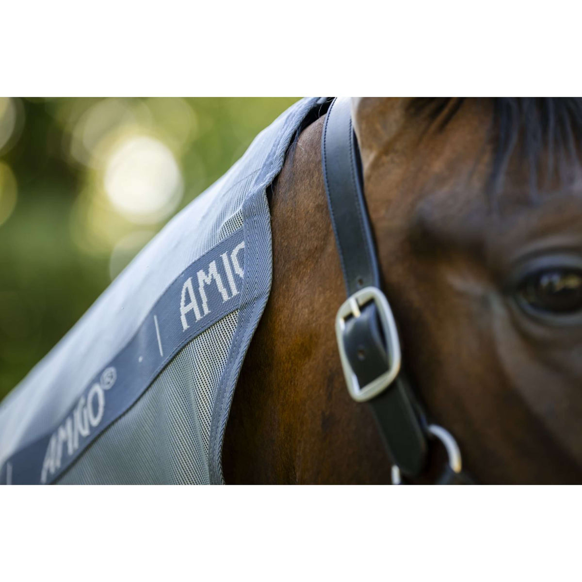 Amigo Fliegendecke Integrated Heather Blue/Blue/Silver