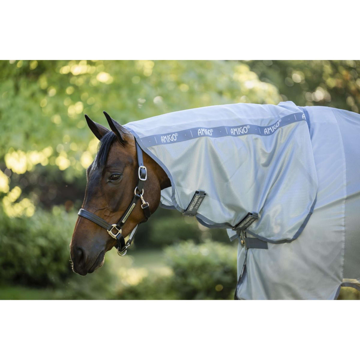 Amigo Fliegendecke Integrated Heather Blue/Blue/Silver