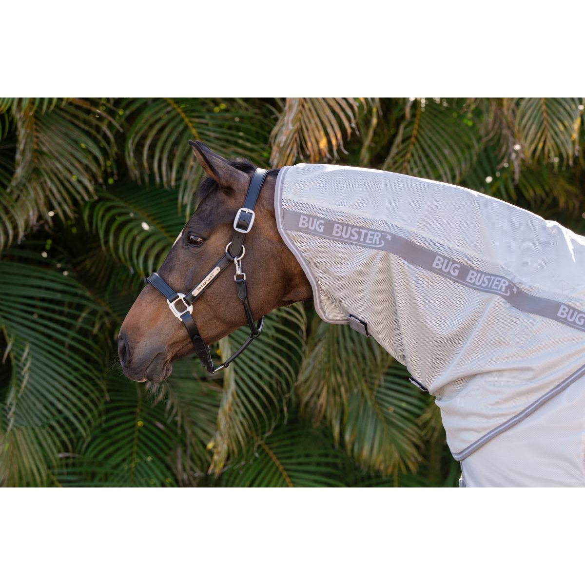 Amigo Halsstück Bug Buster Silber/Titangrau/Silber