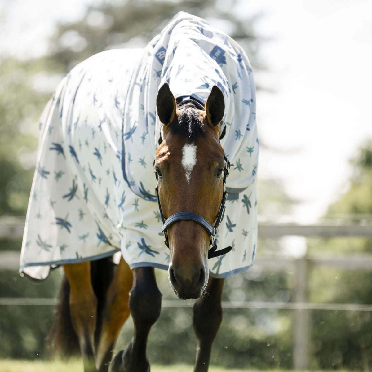 Amigo Bug Rug XL Plus Dragonfly Print/Silver/Blue/Sage