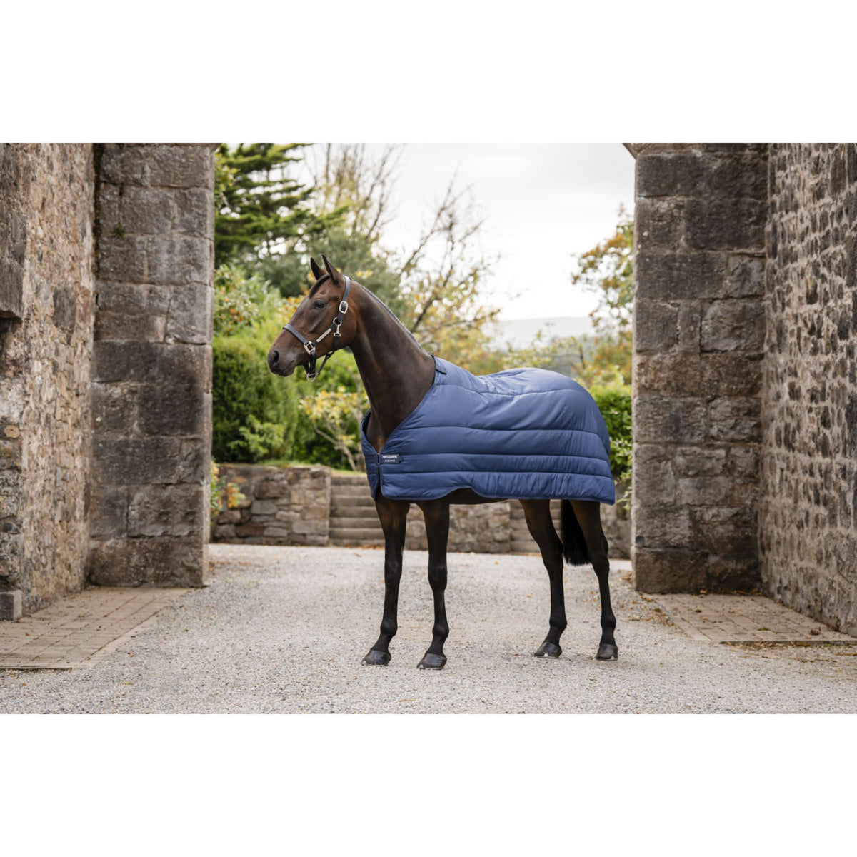 Horseware Liner 50g Navy