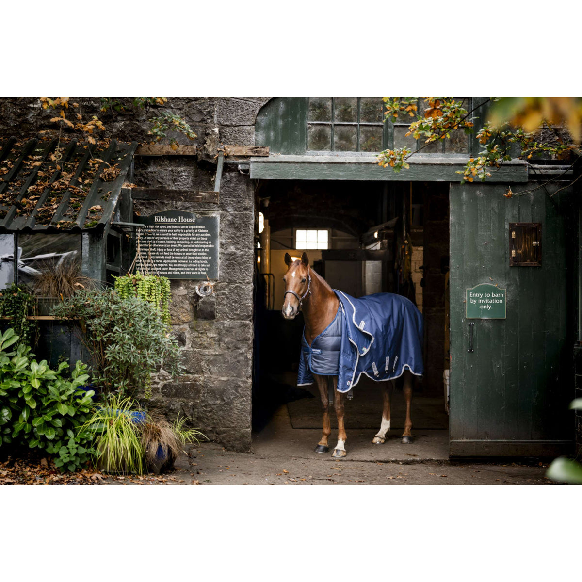 Horseware Liner 50g Navy