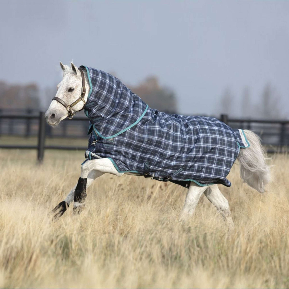 Rhino by Horseware Pony Plus Medium Navy Check