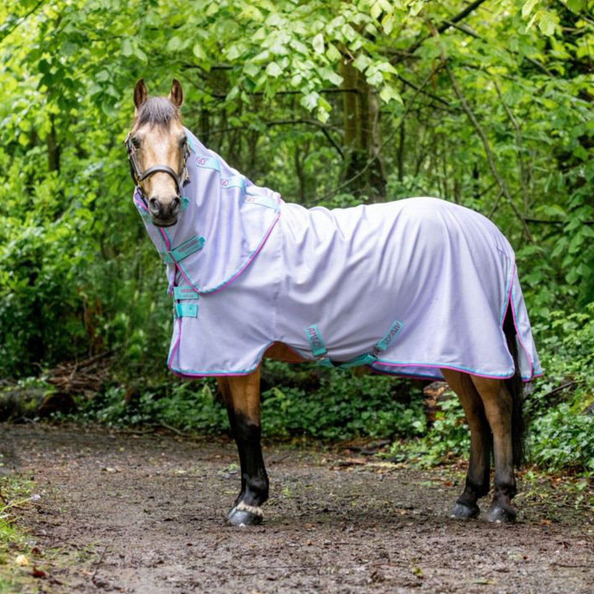 Amigo Bug Rug Pony Lavender/Capri