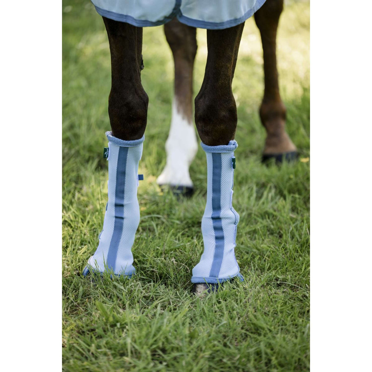 Horseware Fly Boots Set of 2 Heather Blue/Blue/Silver