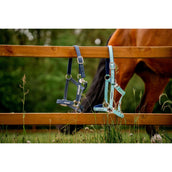 Horseware Halfter Field Safe Navy