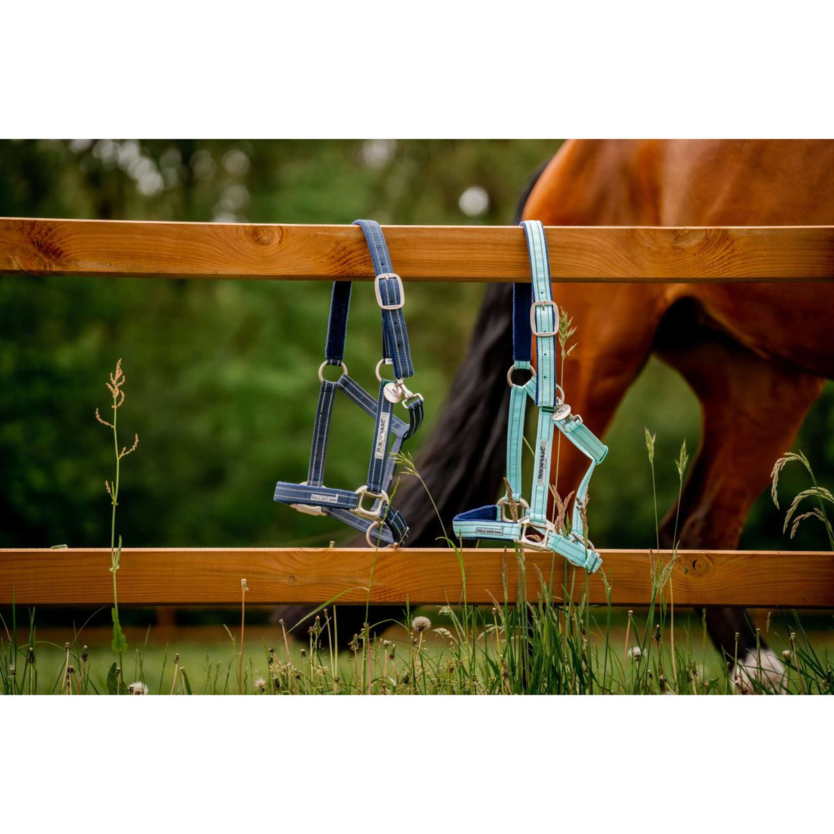 Horseware Halfter Field Safe Blue Haze