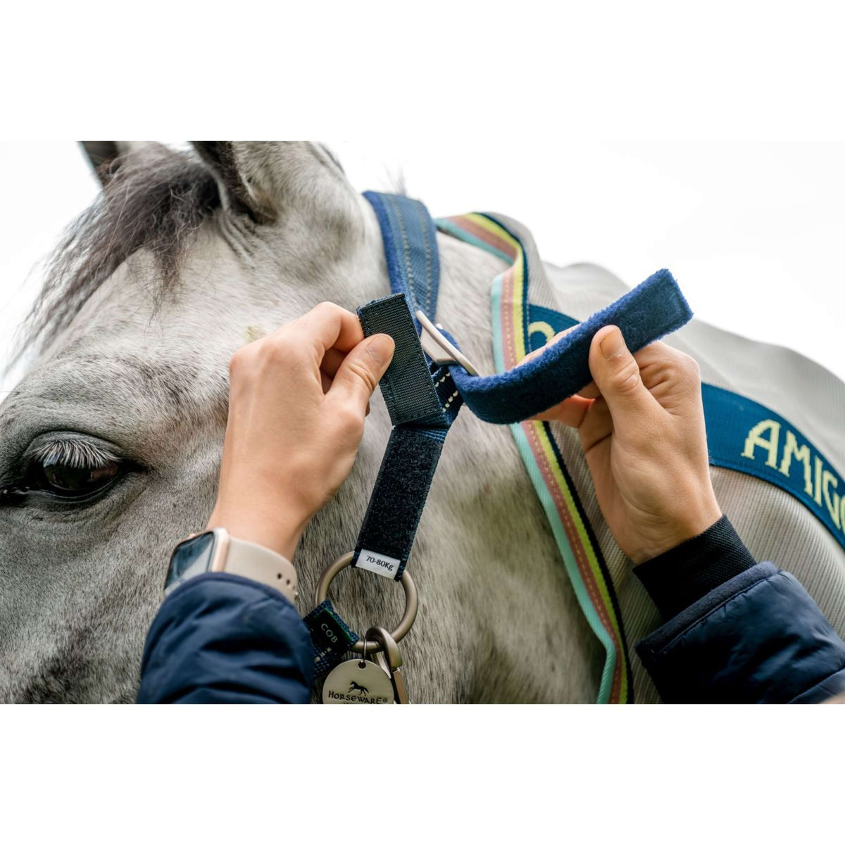 Horseware Halfter Field Safe Navy