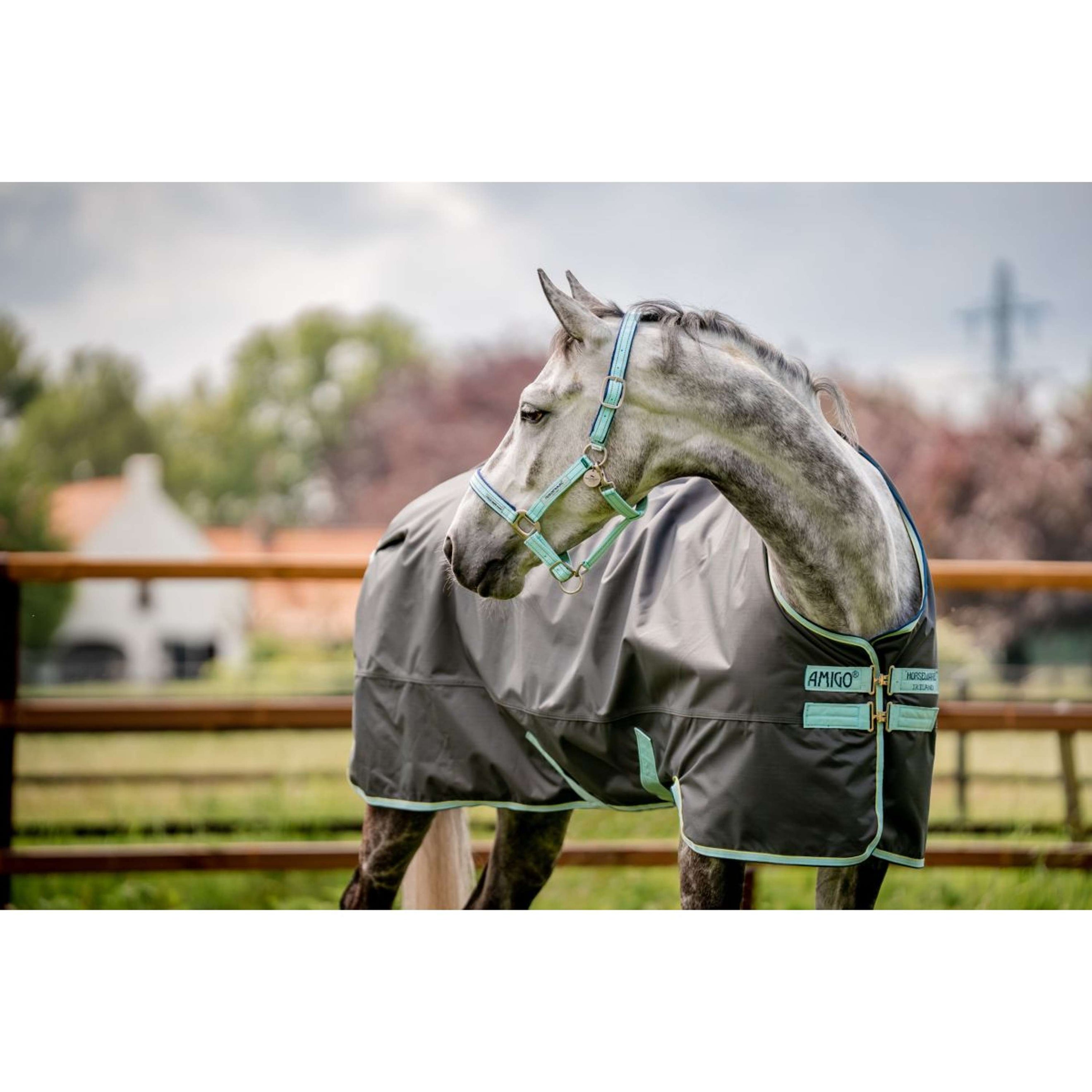 Horseware Halfter Field Safe Blue Haze Horseware Halfter Field Safe Blue Haze