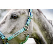 Horseware Halfter Field Safe Blue Haze