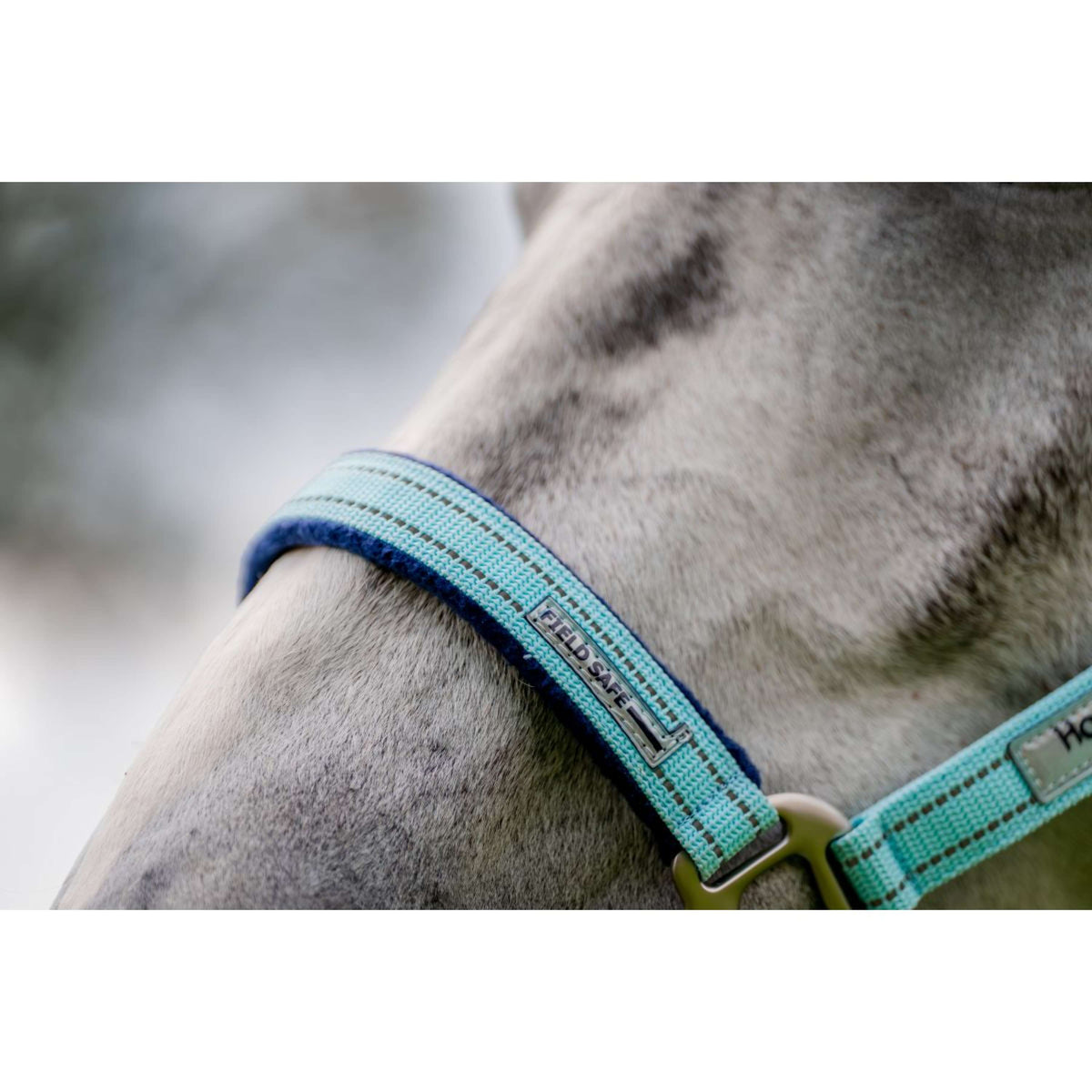 Horseware Halfter Field Safe Blue Haze