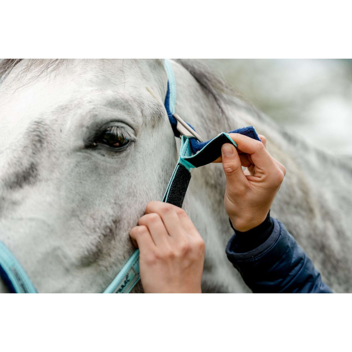 Horseware Halfter Field Safe Blue Haze