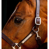 Horseware Halfter Signature Leer Braun