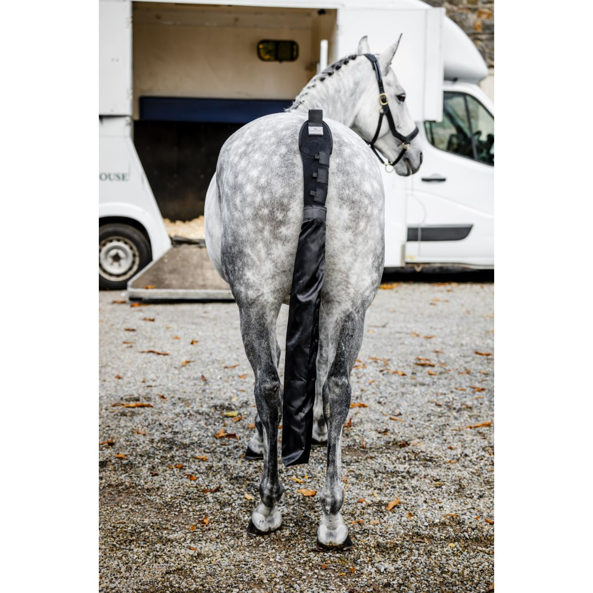 Horseware Schweifschoner und Tasche Schwarz