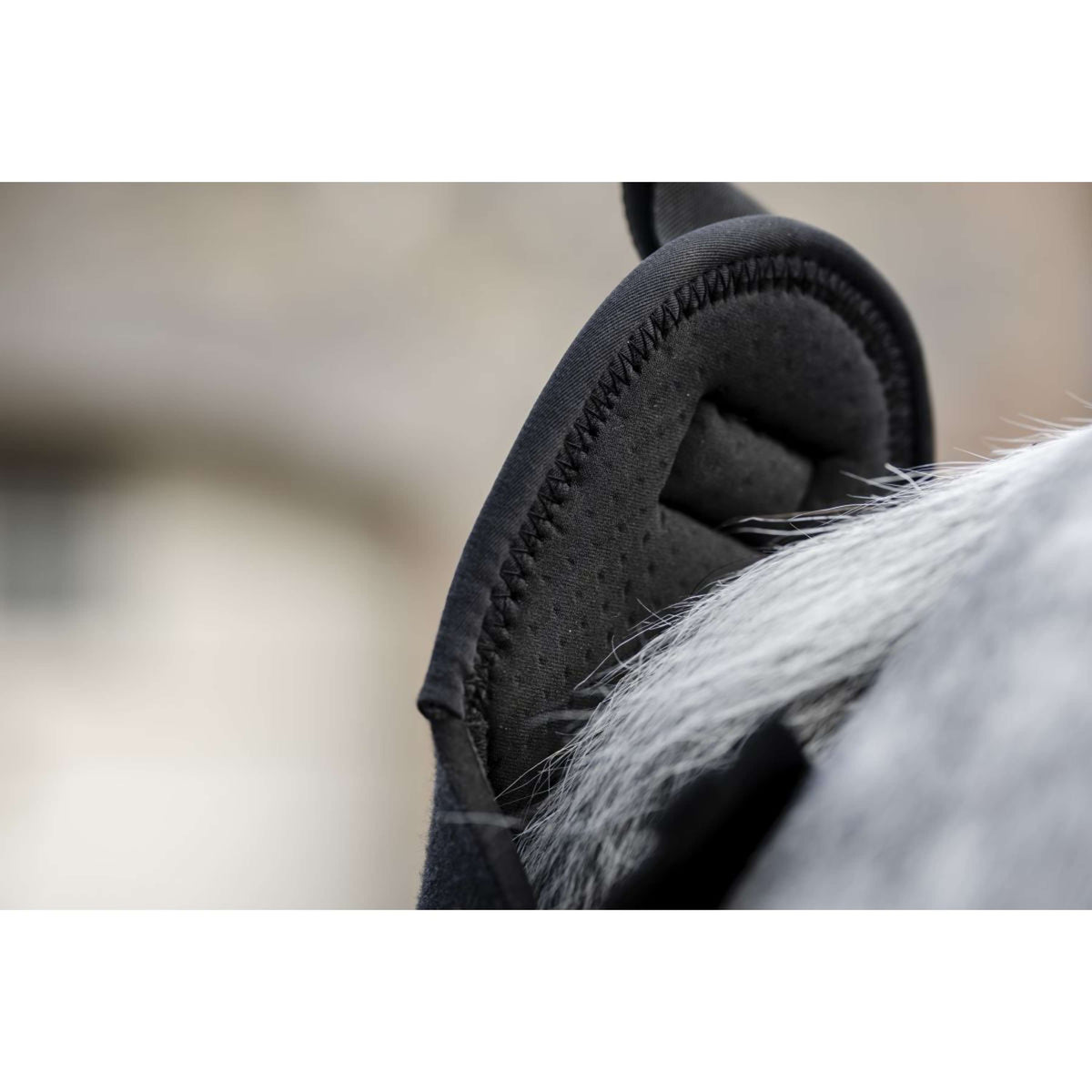 Horseware Schweifschoner und Tasche Schwarz