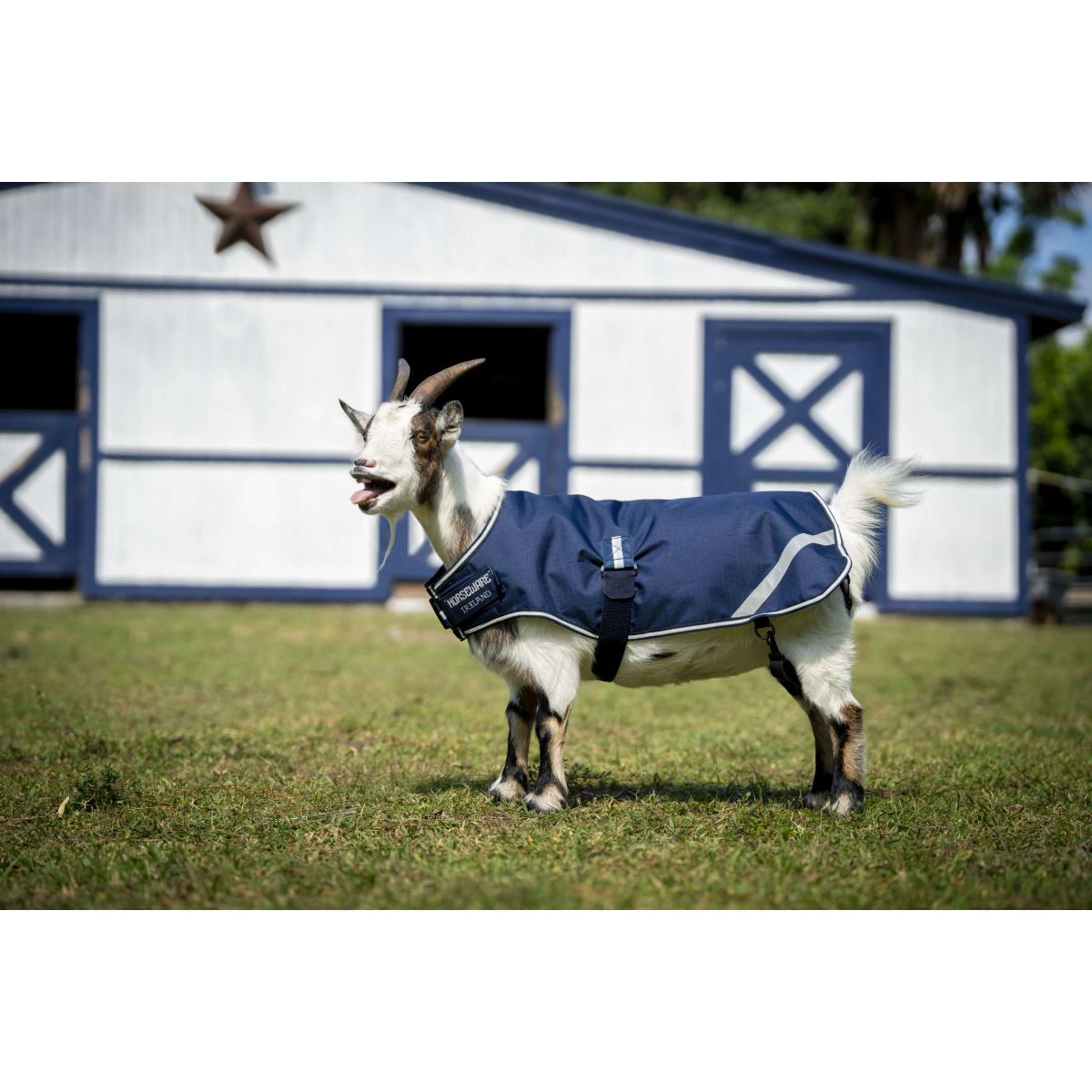 Horseware Goat Coat 100g Witney Navy Horseware Goat Coat 100g Witney Navy
