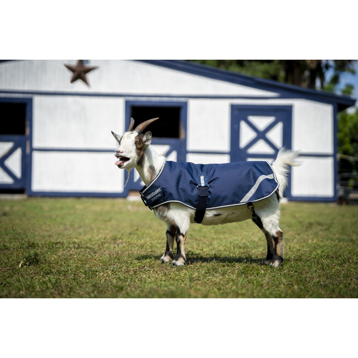 Horseware Goat Coat 0g Witney Navy