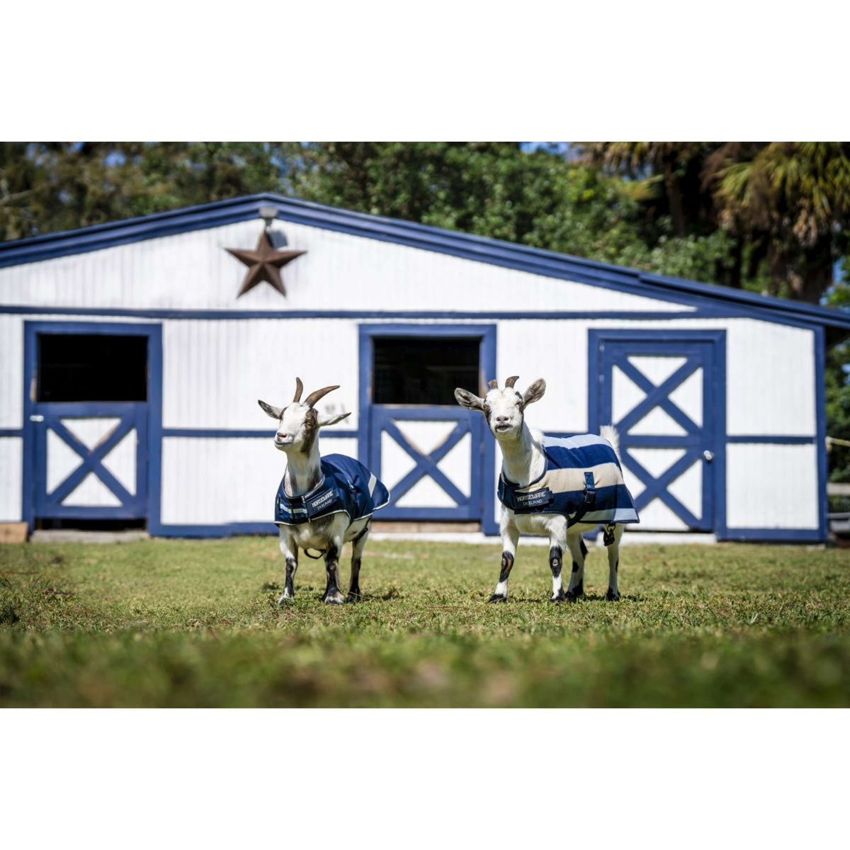 Horseware Goat Coat 0g Witney Navy