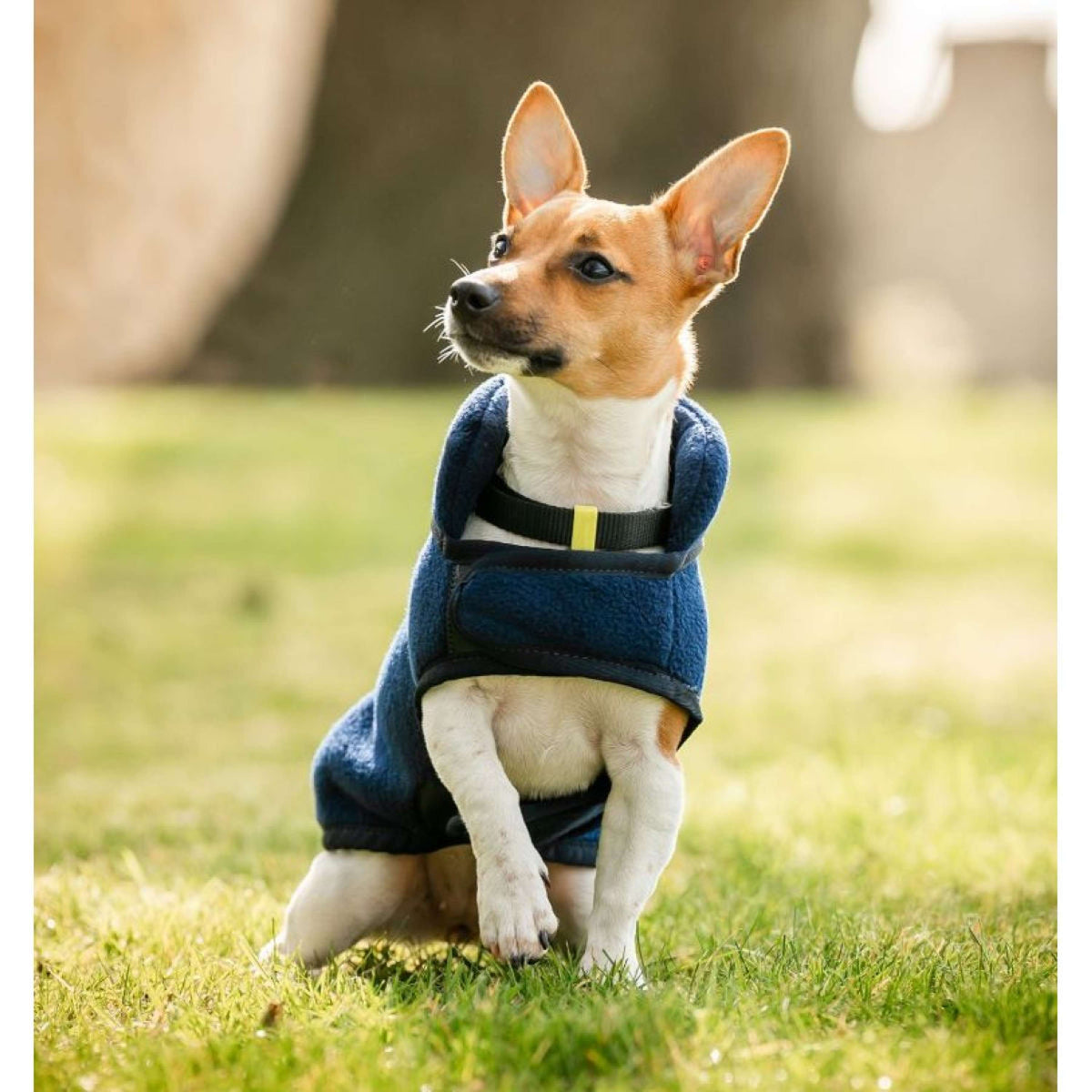 Horseware Hundedecke Signature Fleece Navy