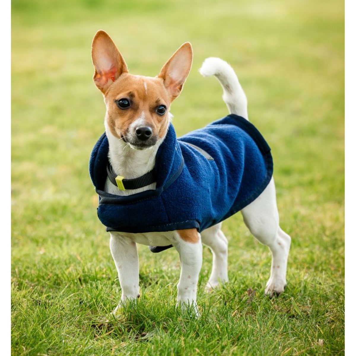 Horseware Hundedecke Signature Fleece Navy