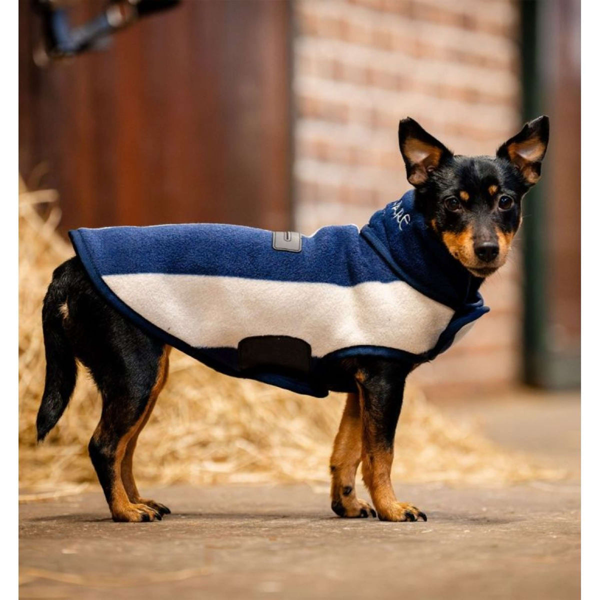 Horseware Hundedecke Signature Fleece Whitney Navy