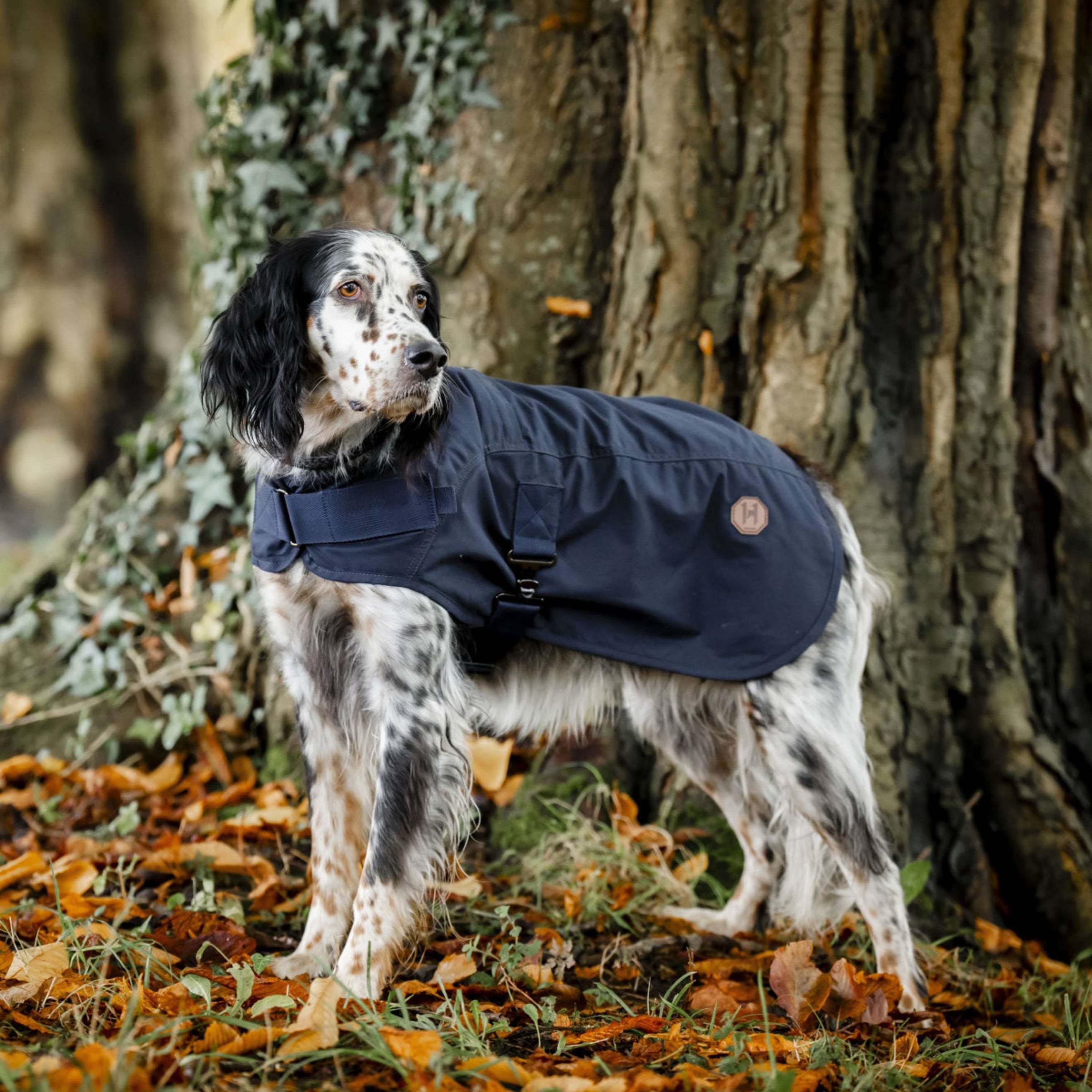 Horseware Dog Coat Newmarket Hertitage Navy/Witney Navy