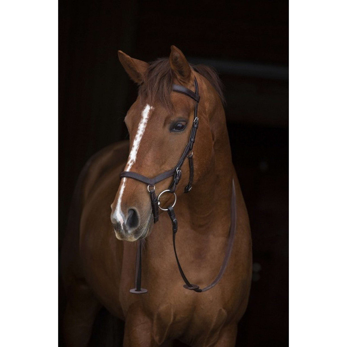 Rambo Micklem Original Competition Bridle Dark Havanna