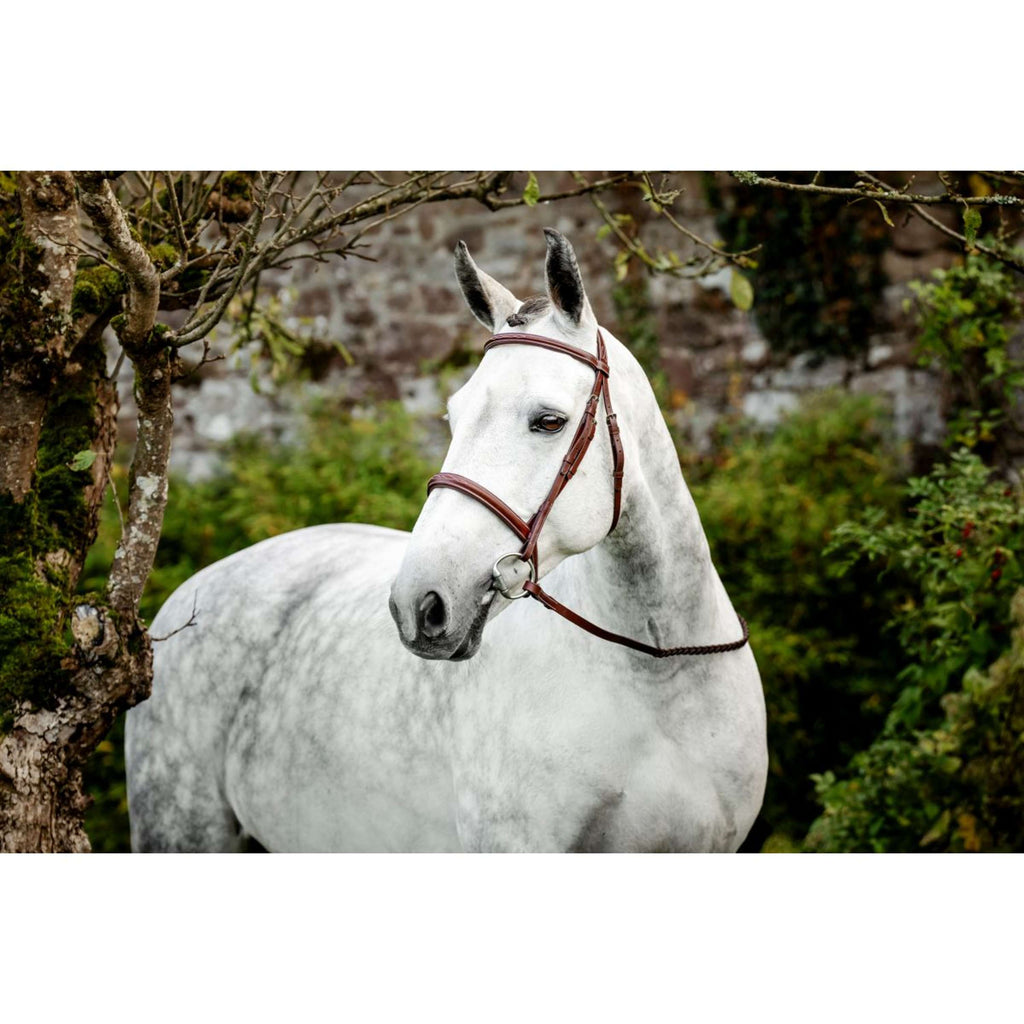 Horseware Zaum Hunter Cavesson mit Zügeln Dark Tan