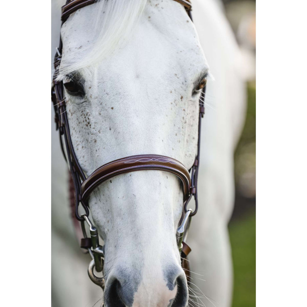 Horseware Zaum Hunter Cavesson mit Zügeln Dark Tan
