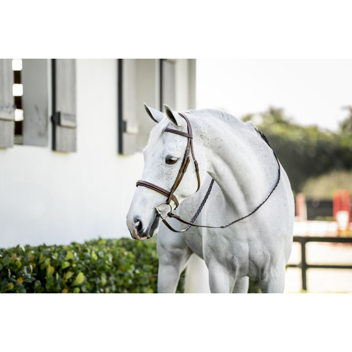 Horseware Zaum Pony Hunter Cavesson mit Zügeln Dark Tan