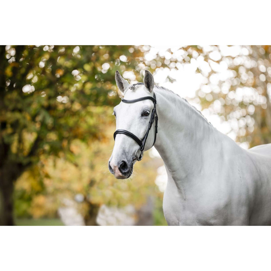 Horseware Zaum Cavesson Schwarz