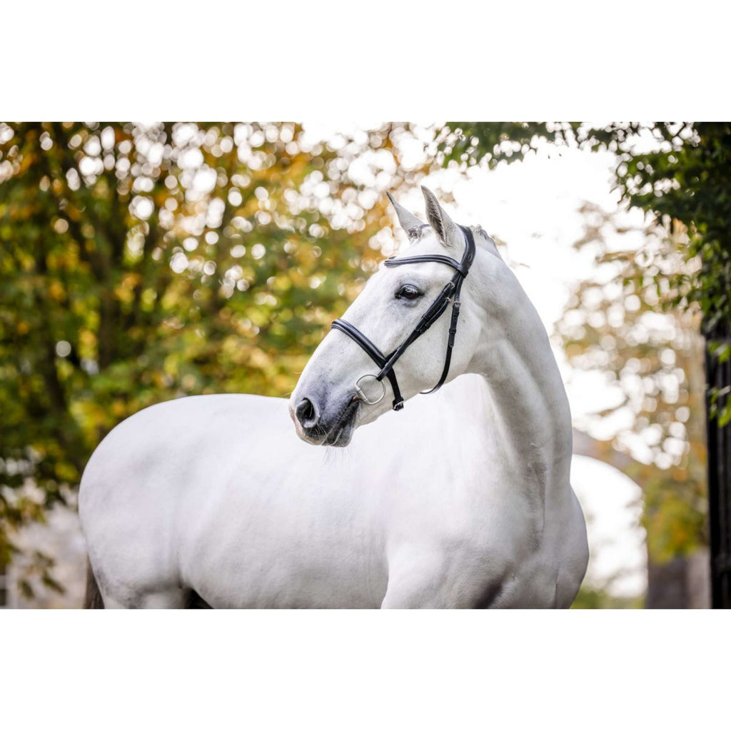 Horseware Zaum Cavesson Schwarz