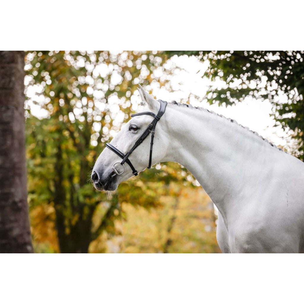 Horseware Zaum Cavesson Schwarz