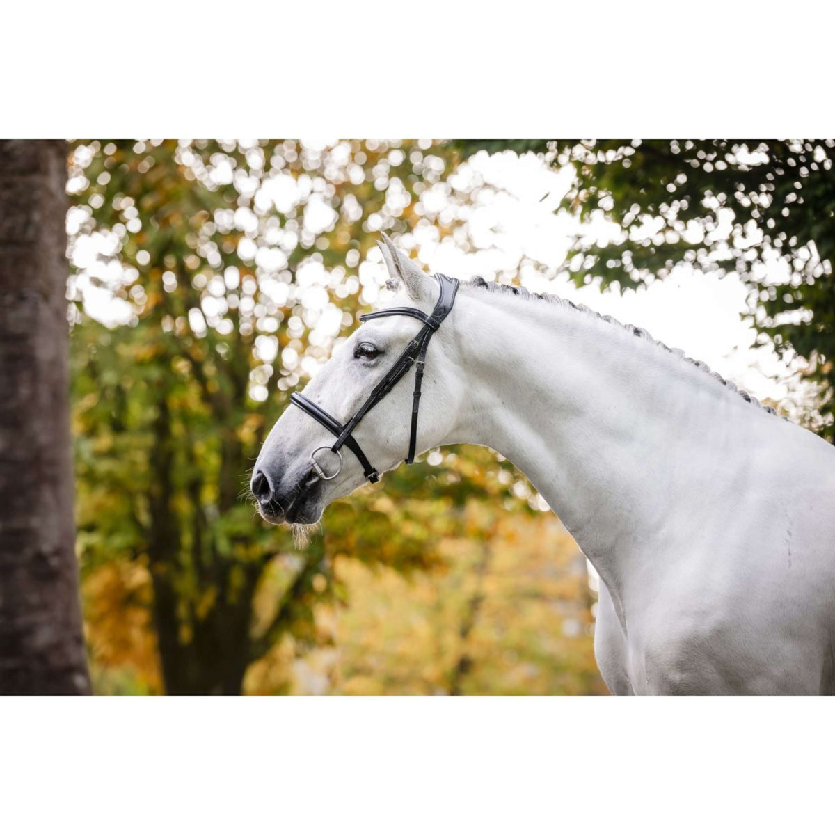 Horseware Zaum Cavesson Schwarz