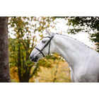 Horseware Zaum Cavesson Schwarz