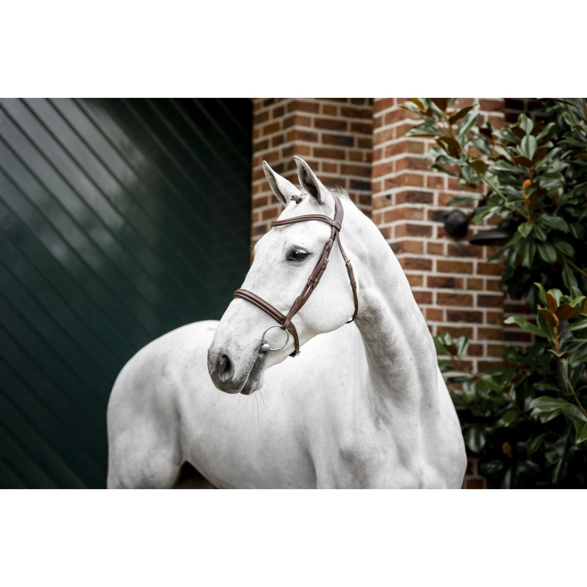 Horseware Zaum Pony Cavesson Braun