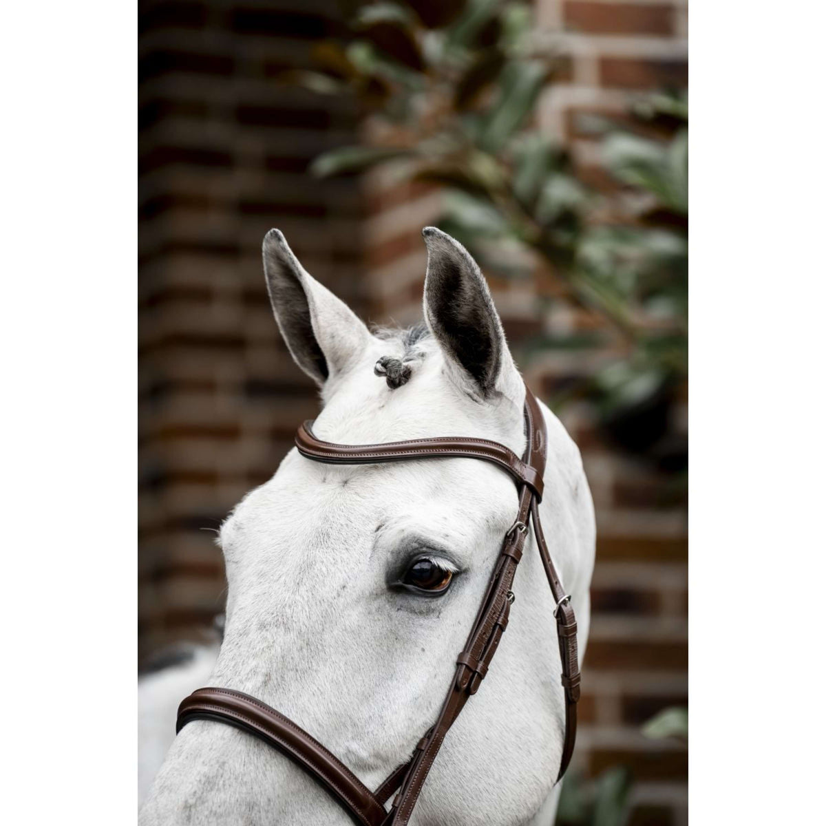 Horseware Zaum Pony Cavesson Braun