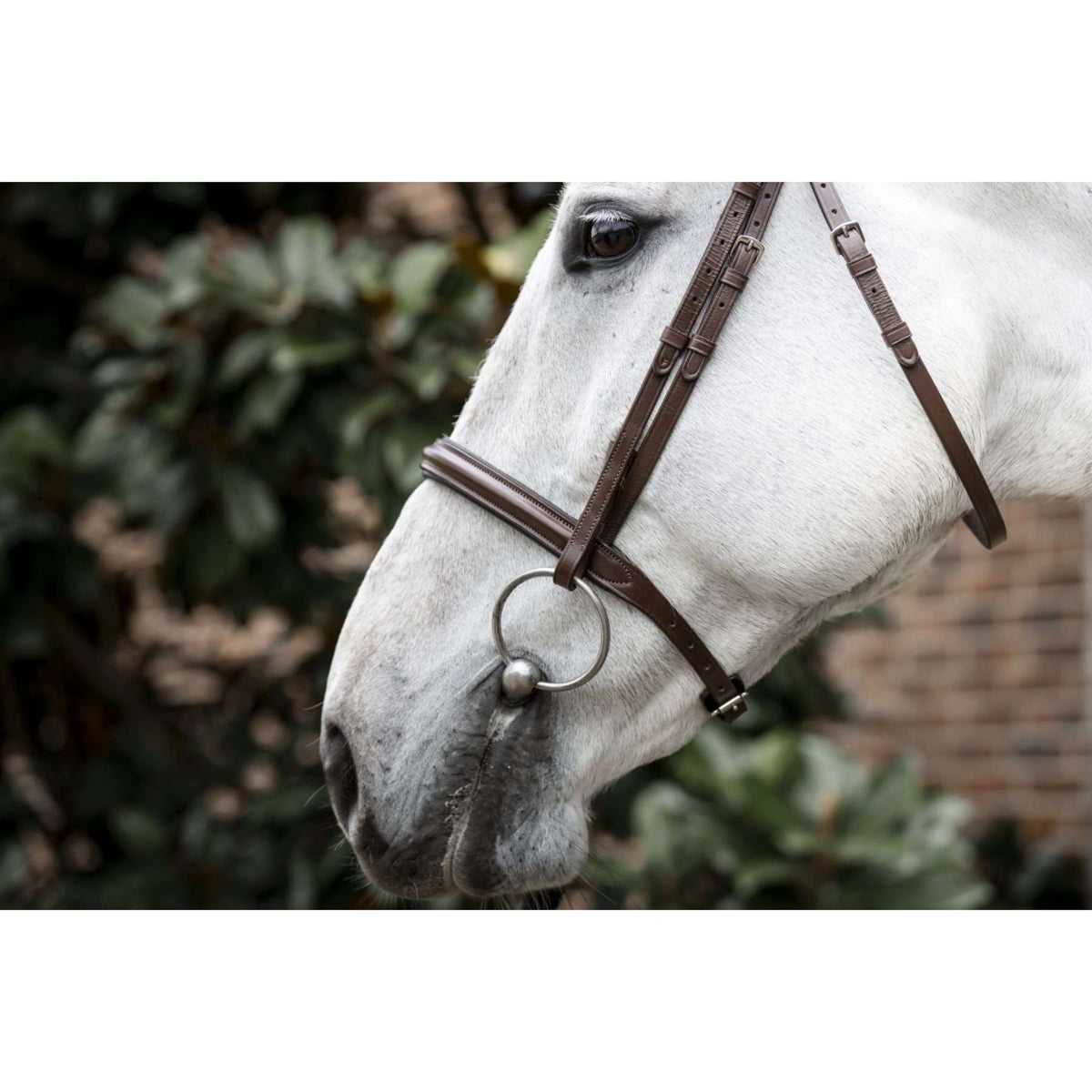 Horseware Zaum Pony Cavesson Braun