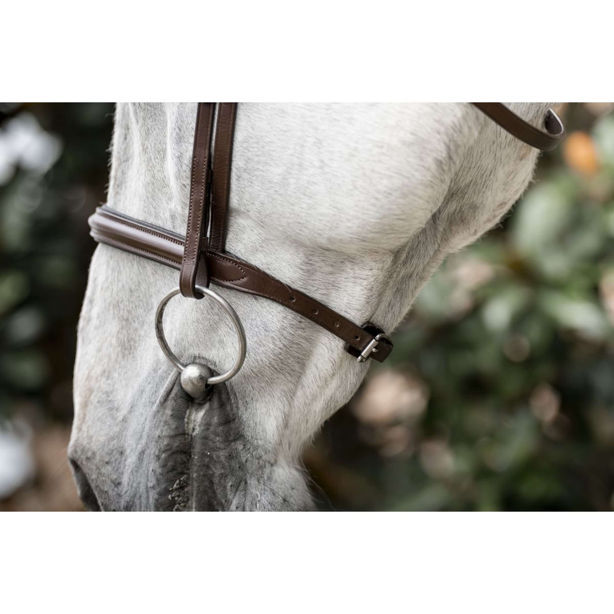Horseware Zaum Pony Cavesson Braun