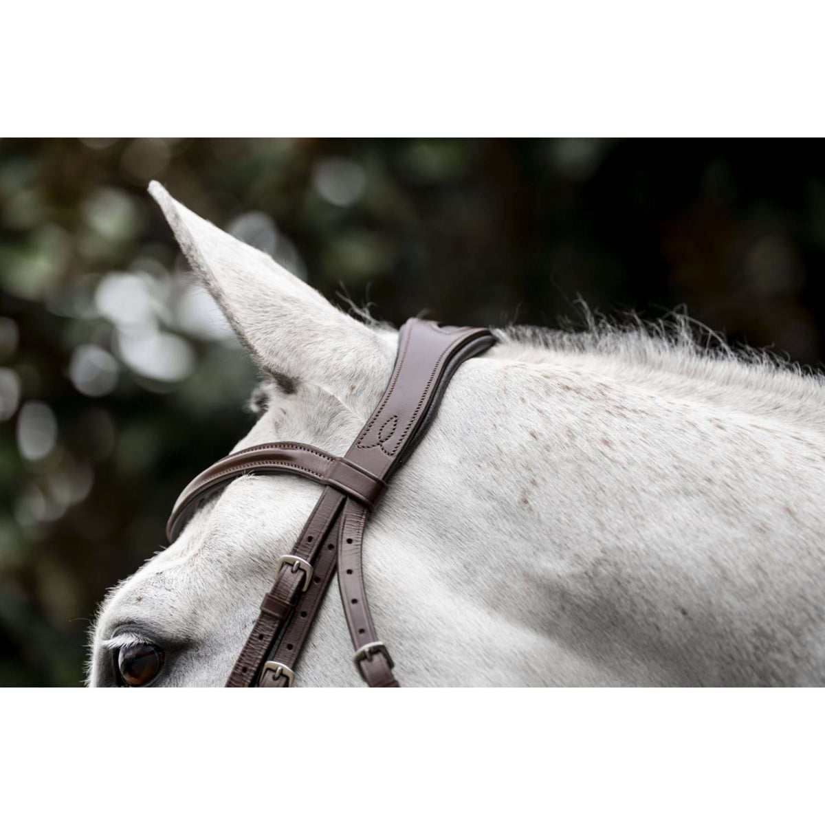 Horseware Zaum Pony Cavesson Braun