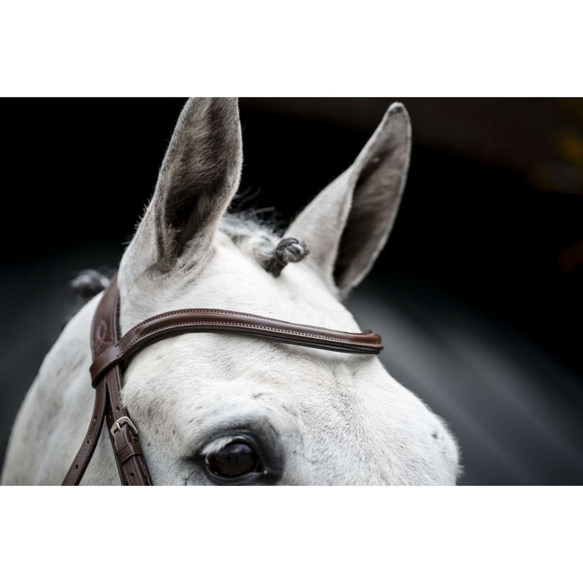 Horseware Zaum Pony Cavesson Braun