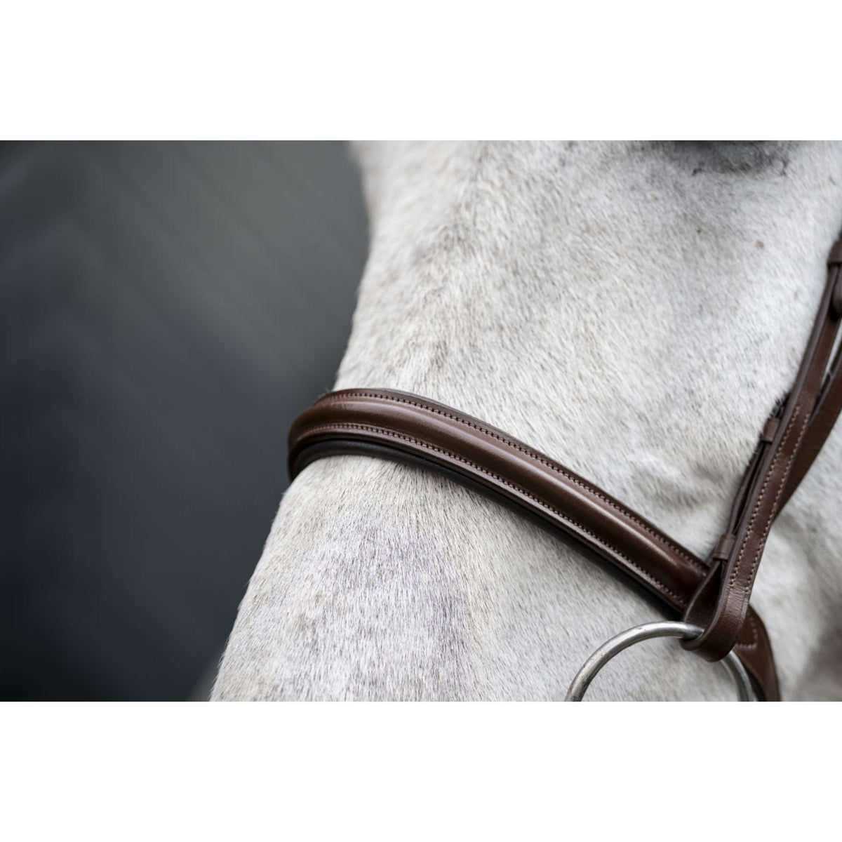 Horseware Zaum Pony Cavesson Braun