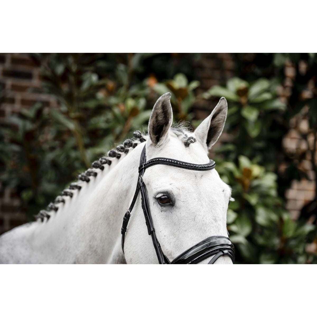 Horseware Zaum Diamante Schwarz