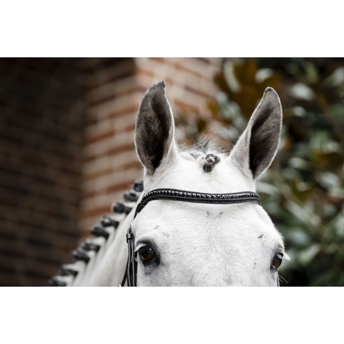 Horseware Zaum Diamante Schwarz
