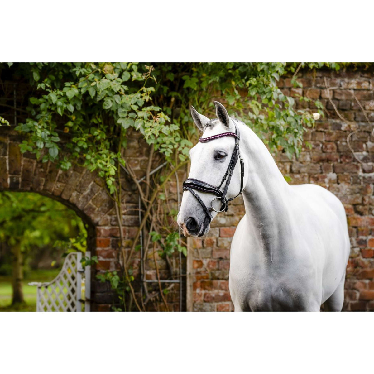 Horseware Zaum Pony Diamante Flash Schwarz/Rosa