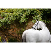 Horseware Zaum Pony Diamante Flash Schwarz/Rosa