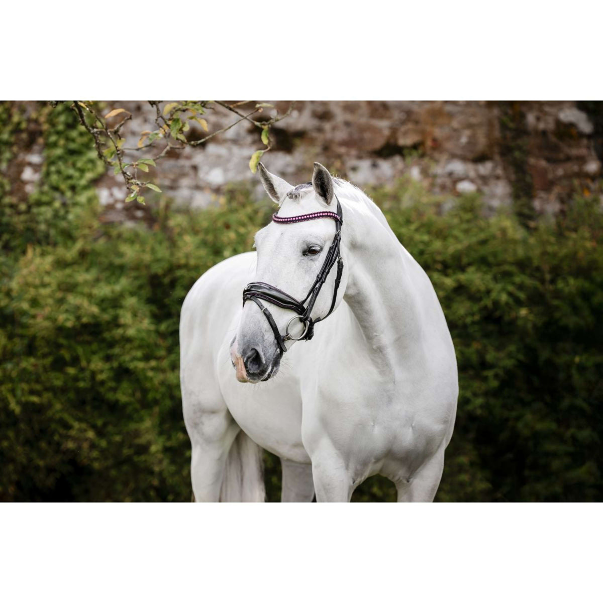 Horseware Zaum Pony Diamante Flash Schwarz/Rosa