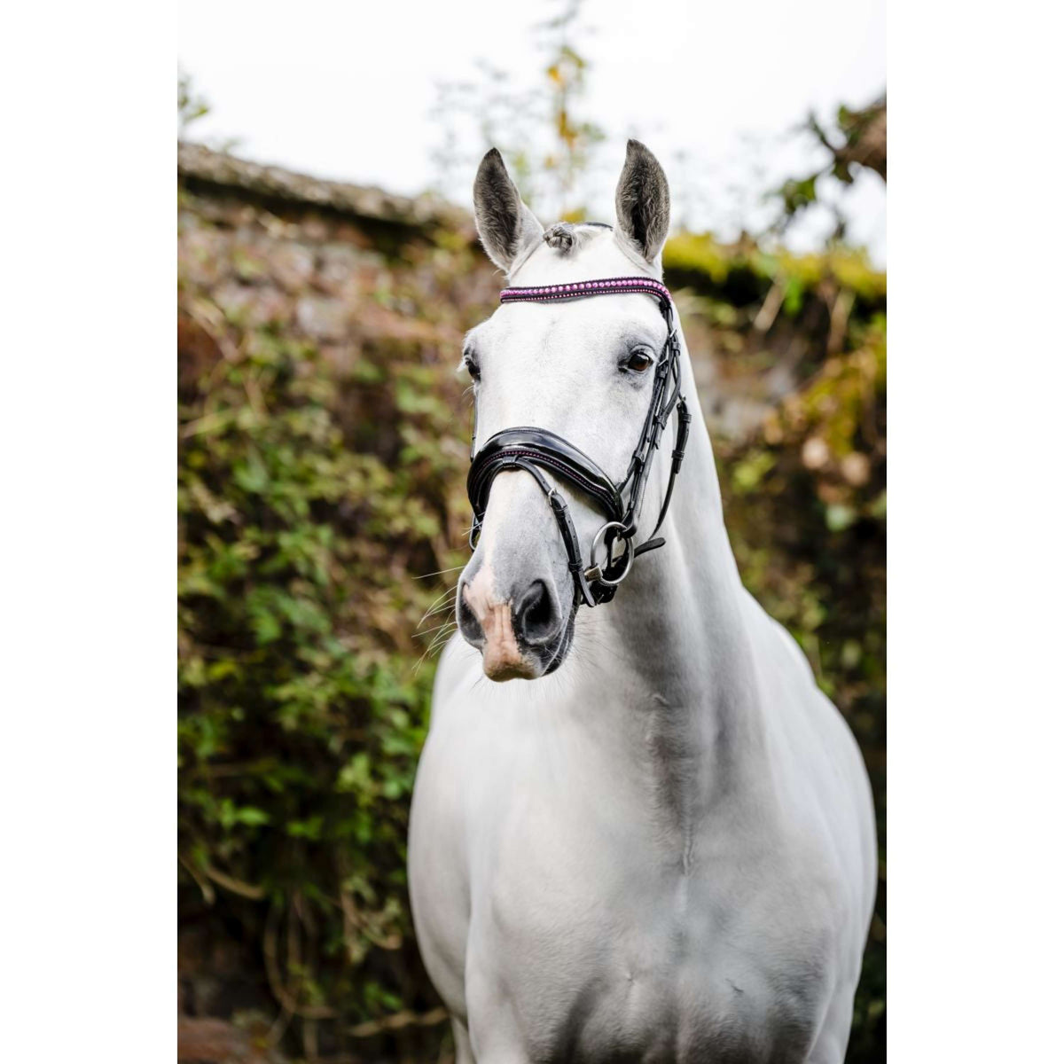 Horseware Zaum Pony Diamante Flash Schwarz/Rosa