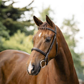Horseware Zaum Hunter Havana Brown